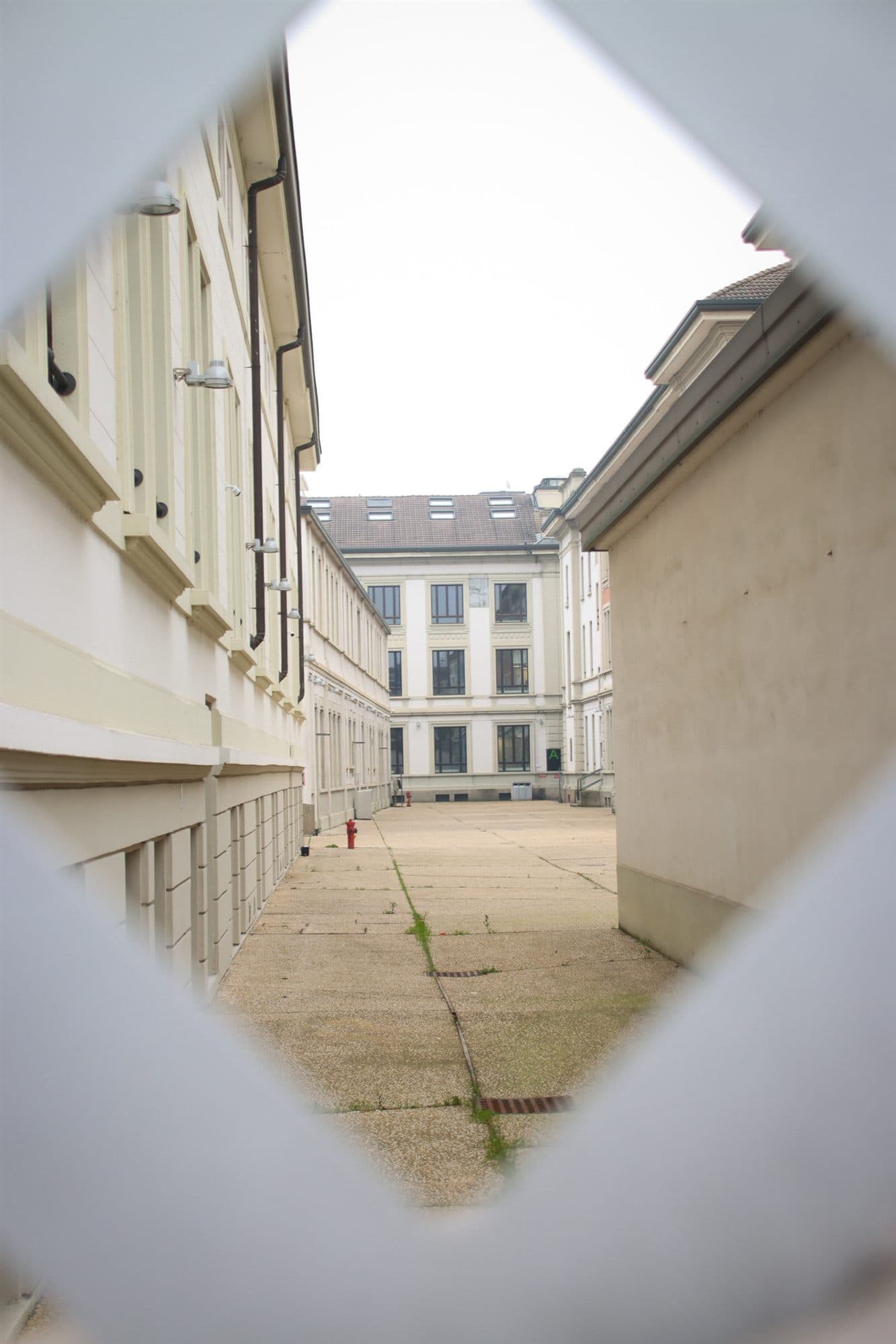 Through the Fence