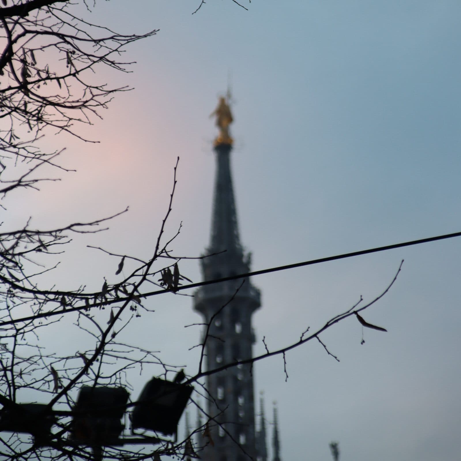 The Madonnina