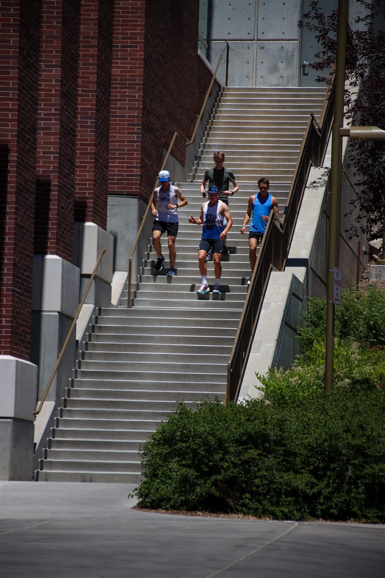 Down the Steps