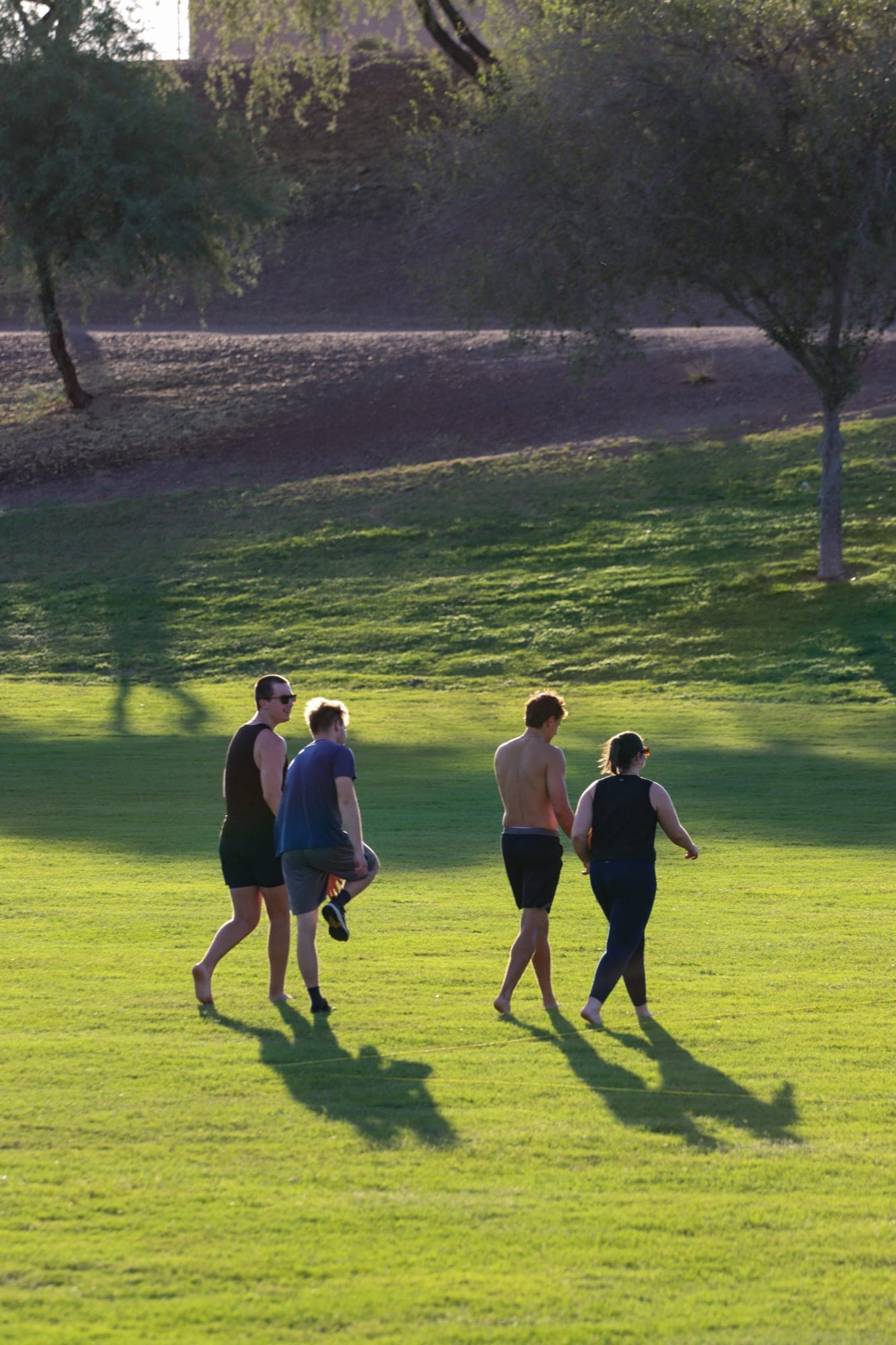 Long Shadows